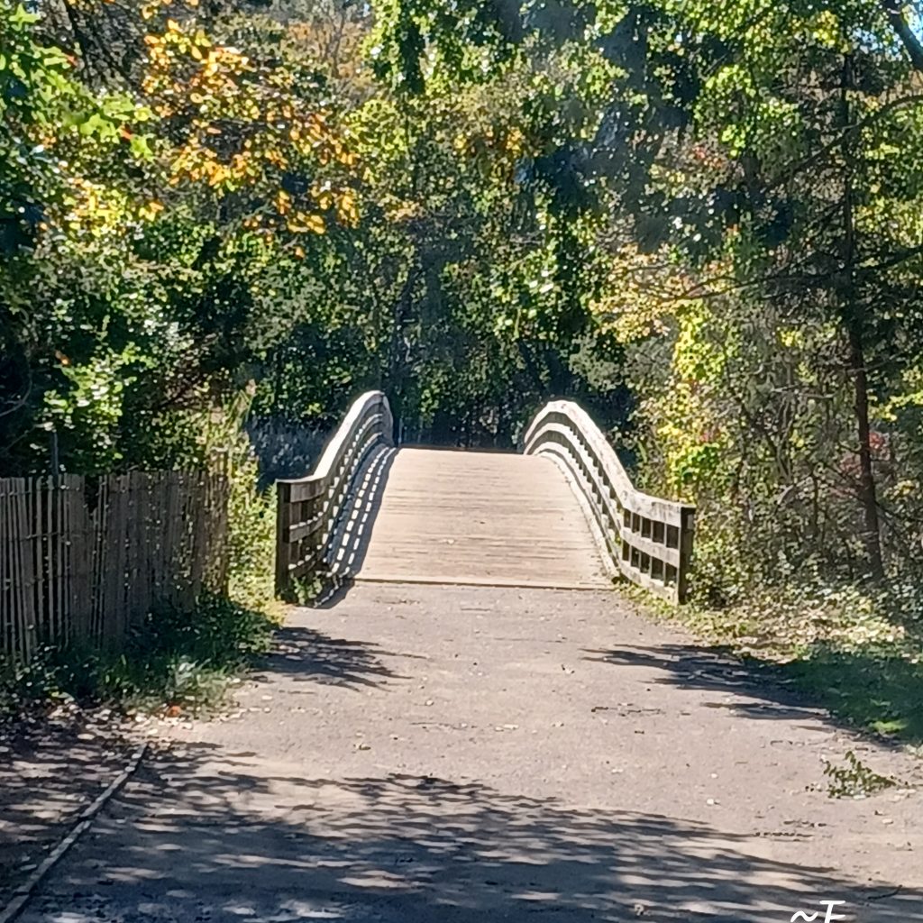 Sunken Meadows Trail