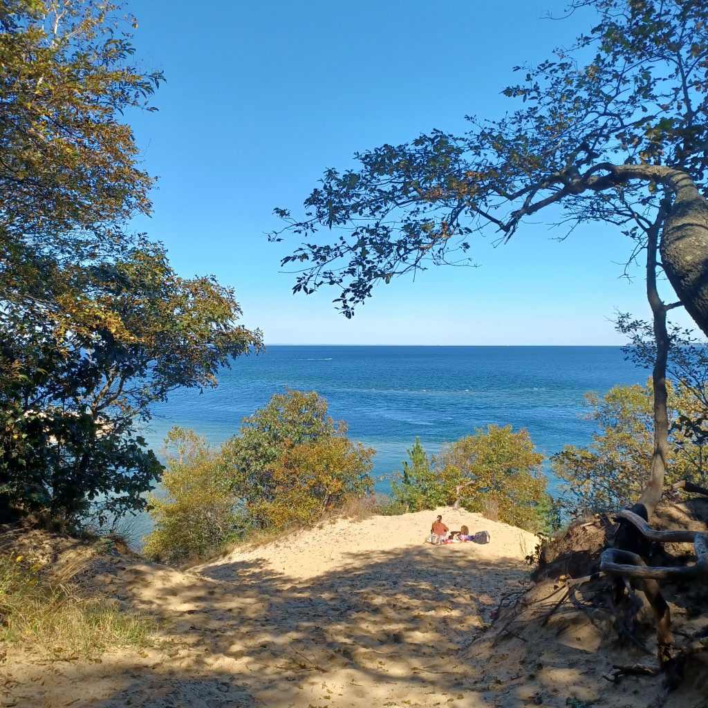 Sunken Meadow Trail