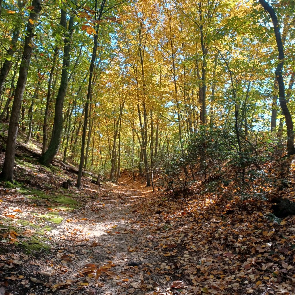 Cold Spring Harbor Trail