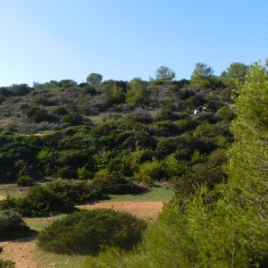 Seven Hidden Valleys Trail