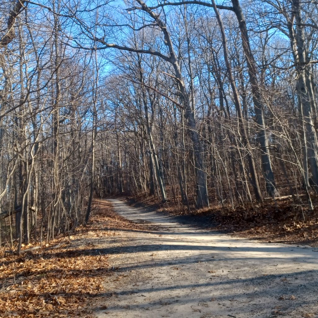 Caumsett State Park