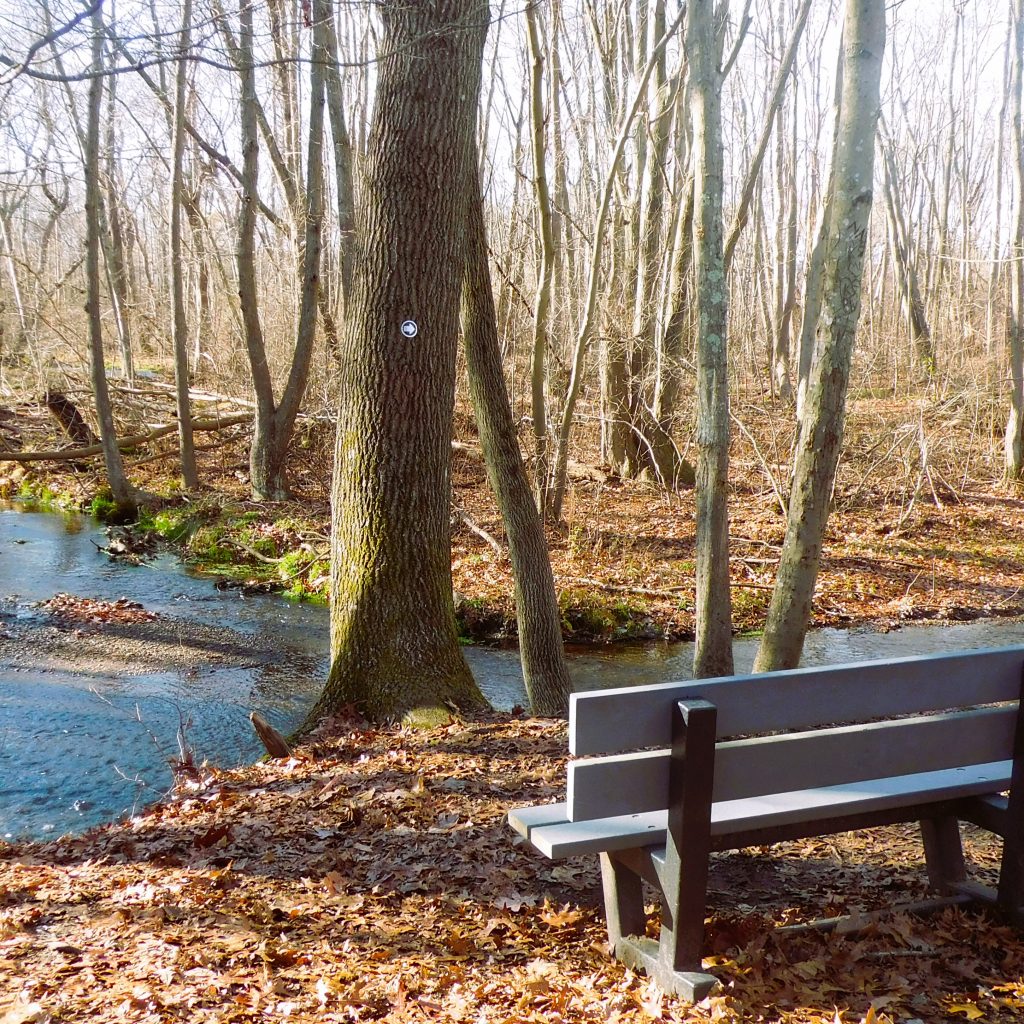 Blydensburgh County State Park