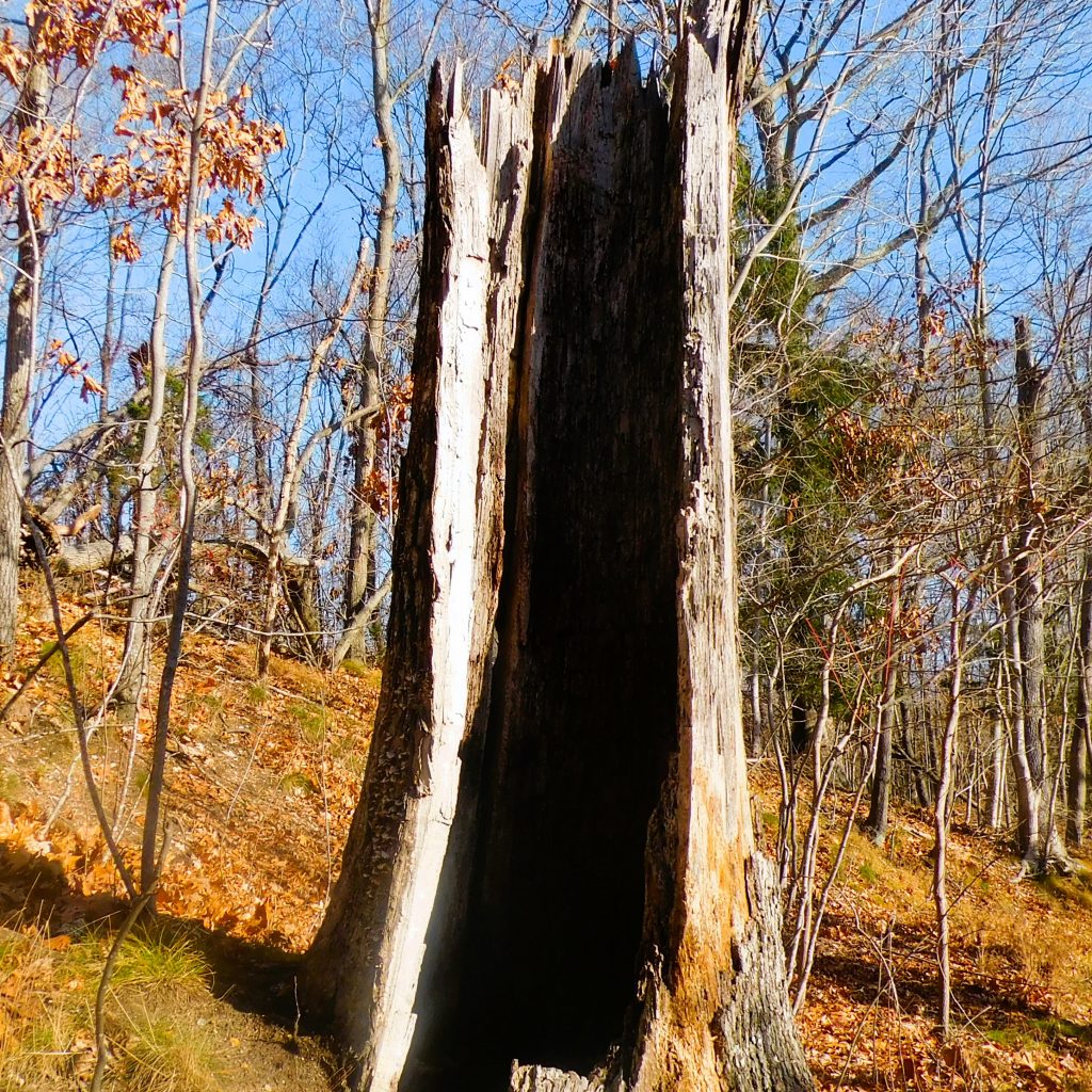 Blydensburgh County State Park