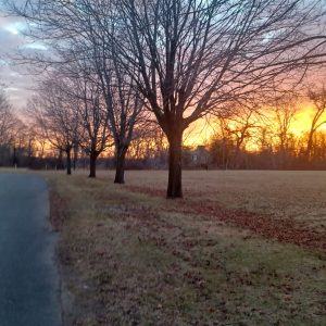 Caumsett Sunrise Hike