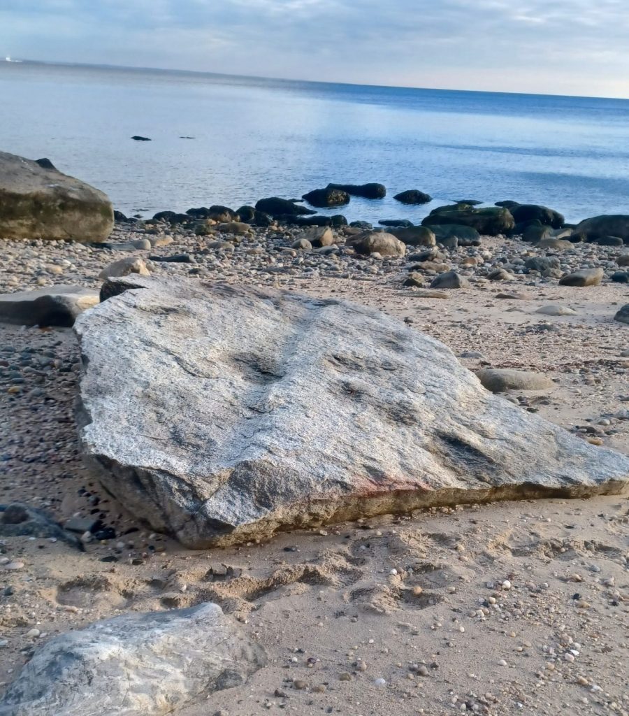 Caumsett Sunrise Hike