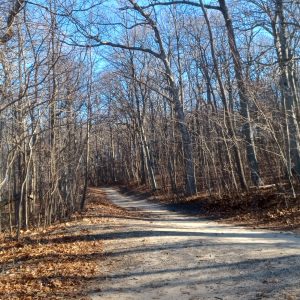 Caumsett Sunrise Hike