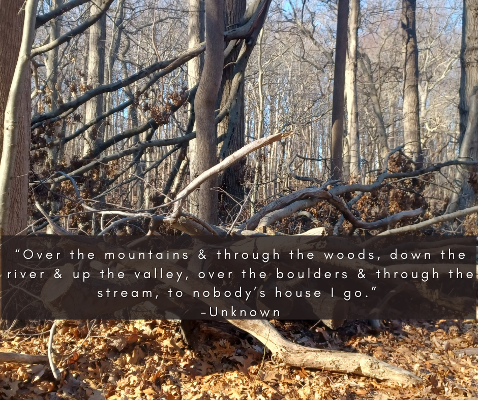 “Over the mountains & through the woods, down the river & up the valley, over the boulders & through the stream, to nobody’s house I go.” -Unknown