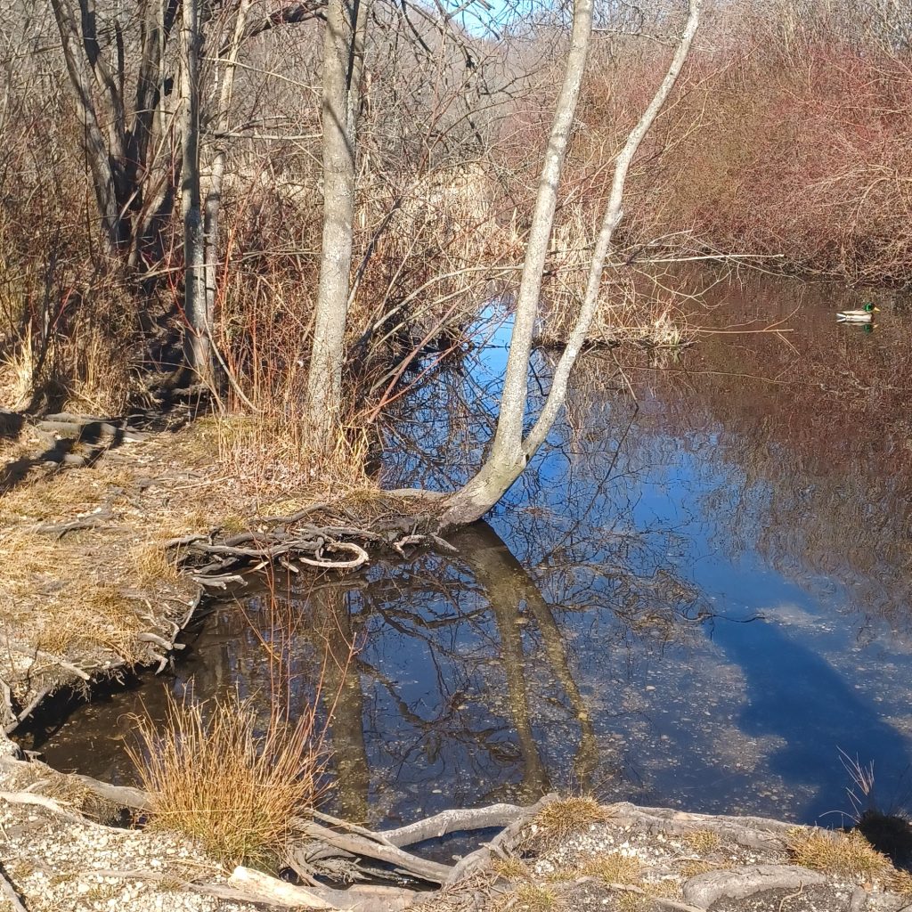 Hiking