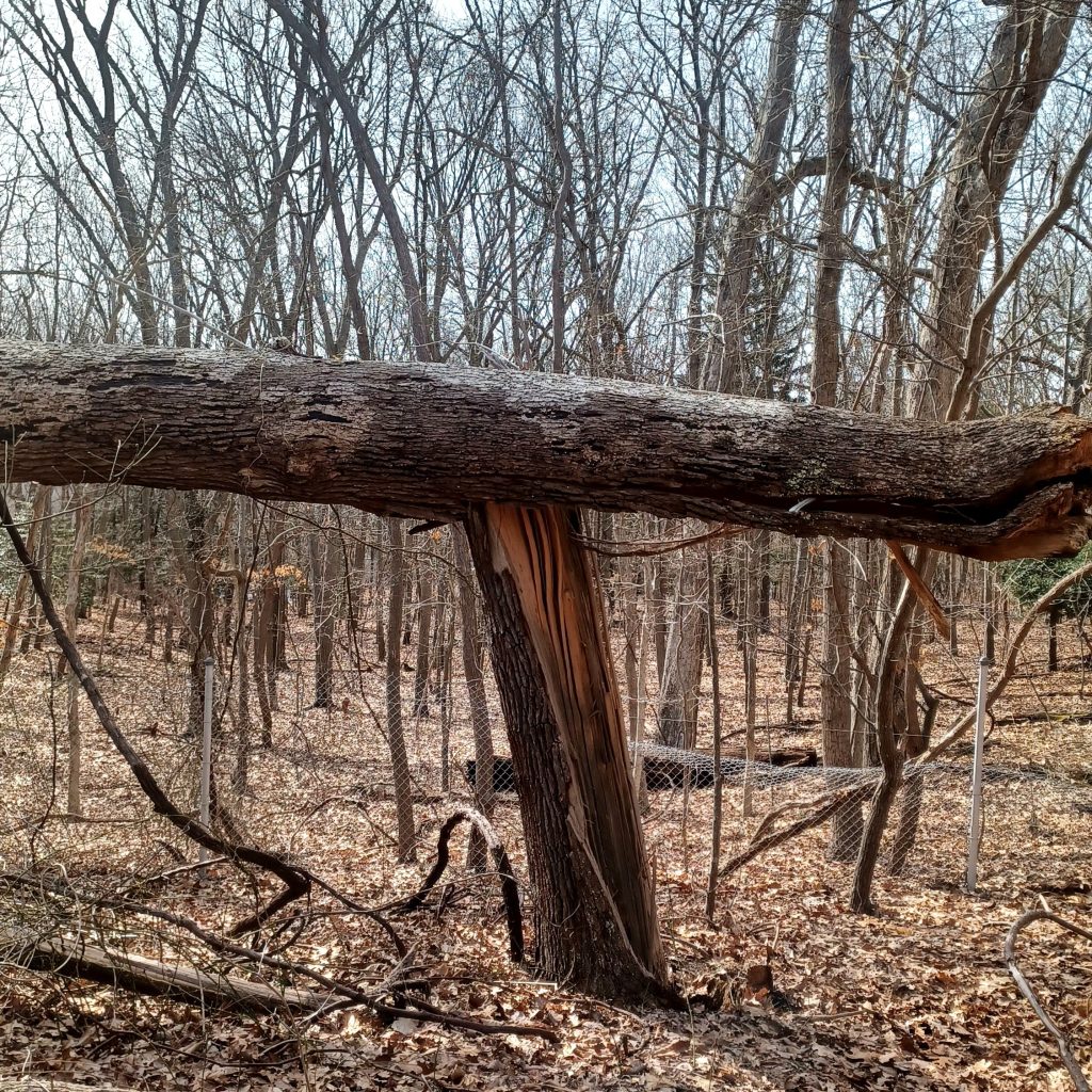 Sunken Meadow State Park