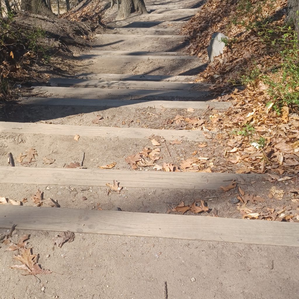 Garvies Point Preserve