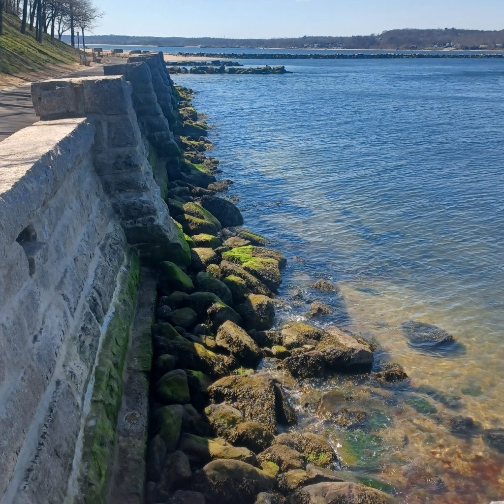 Garvies Point Preserve