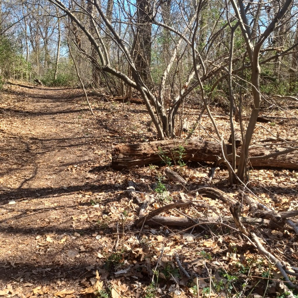 Garvies Point Preserve