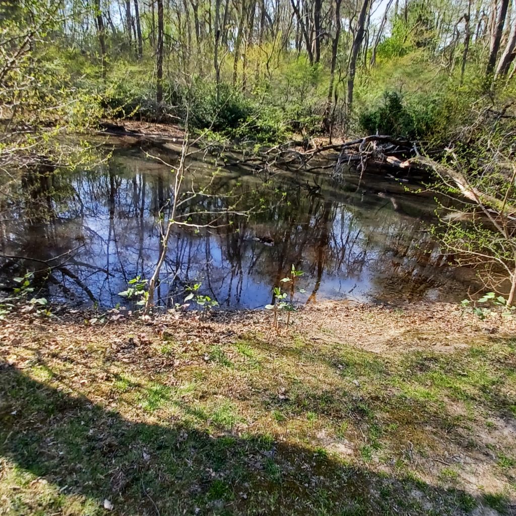 Garvies Point Preserve