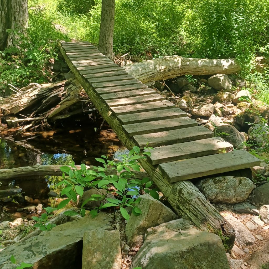 hiking trail