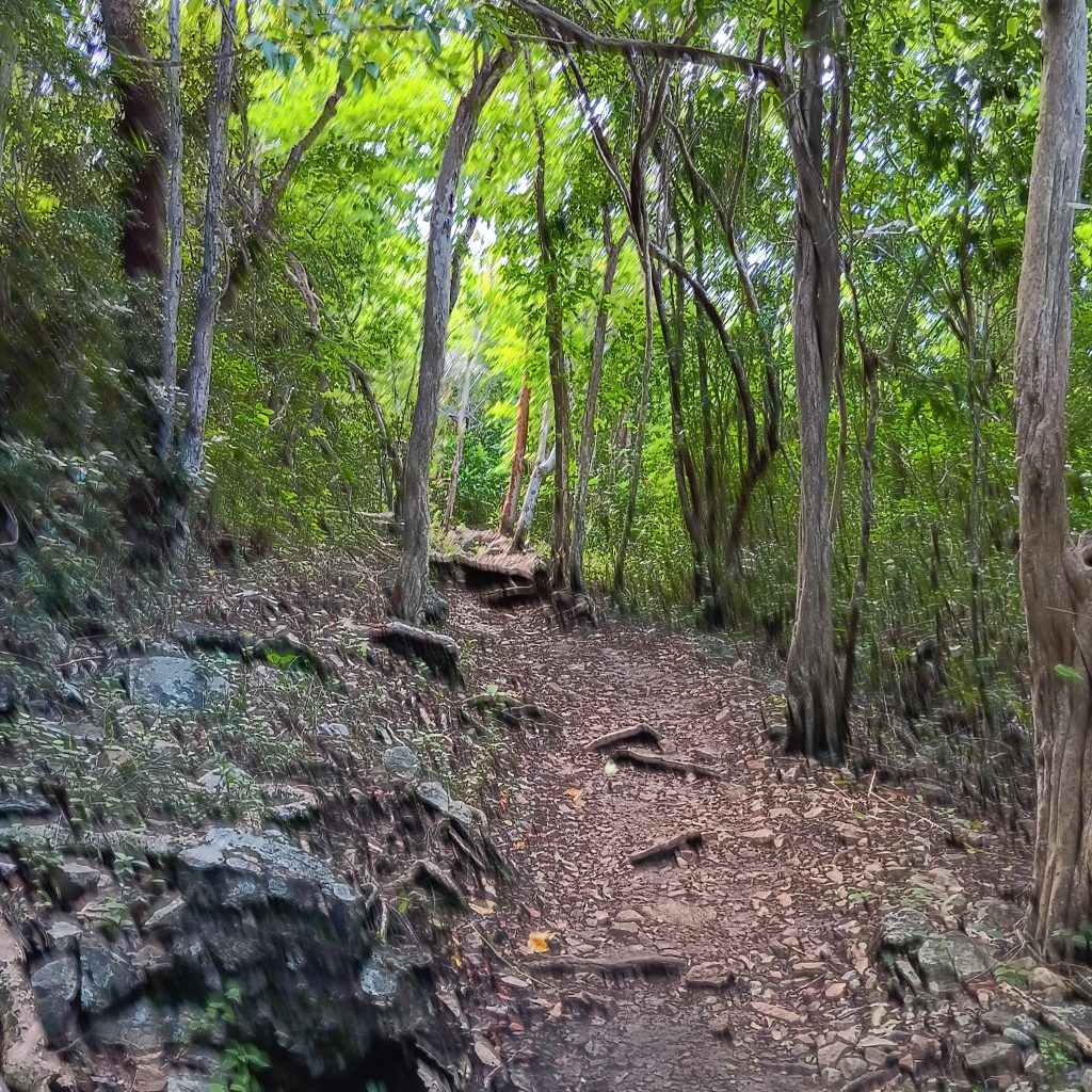 trail