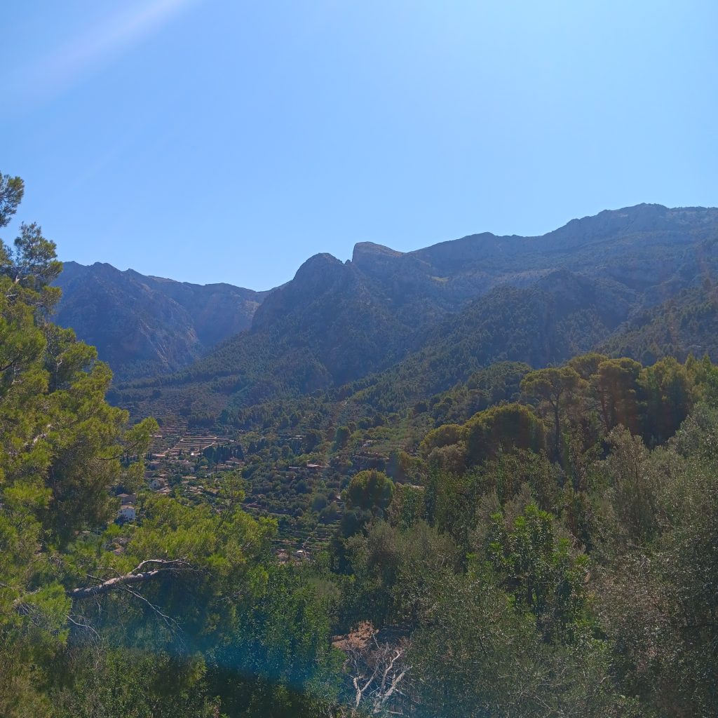 Soller