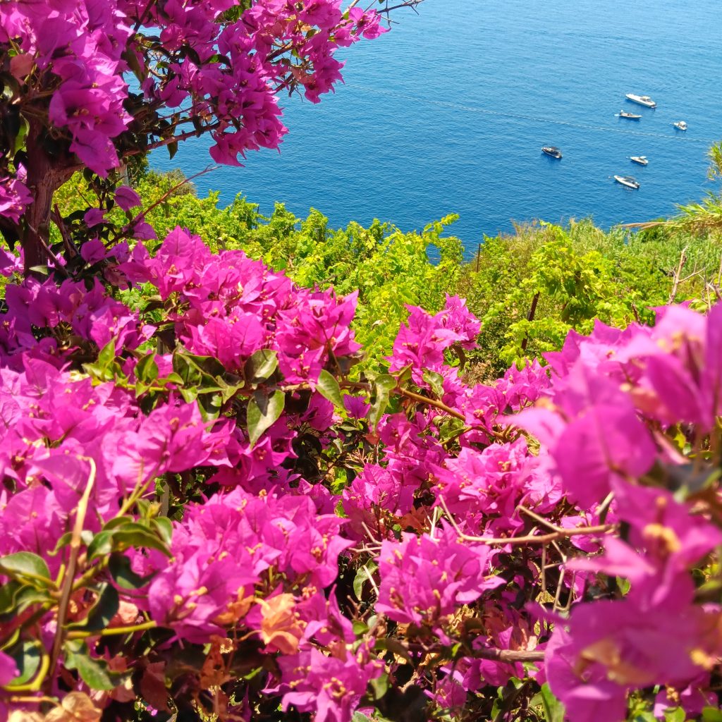 Vernazza