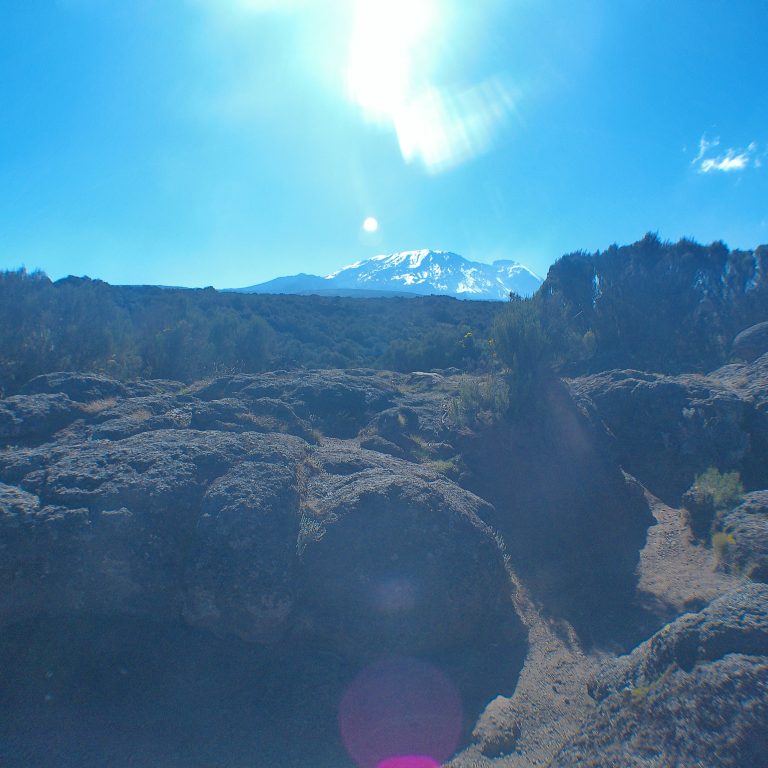 Kilimanjaro