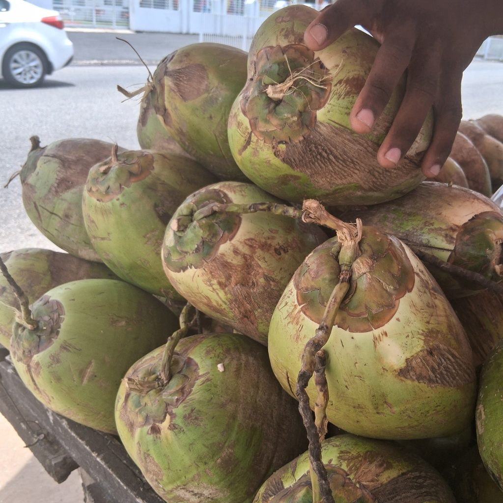 coconut
