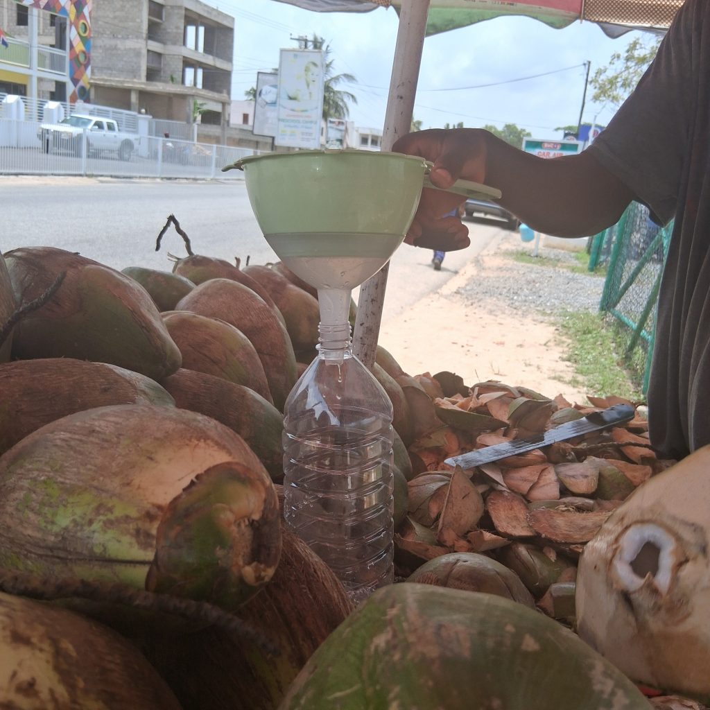 coconut