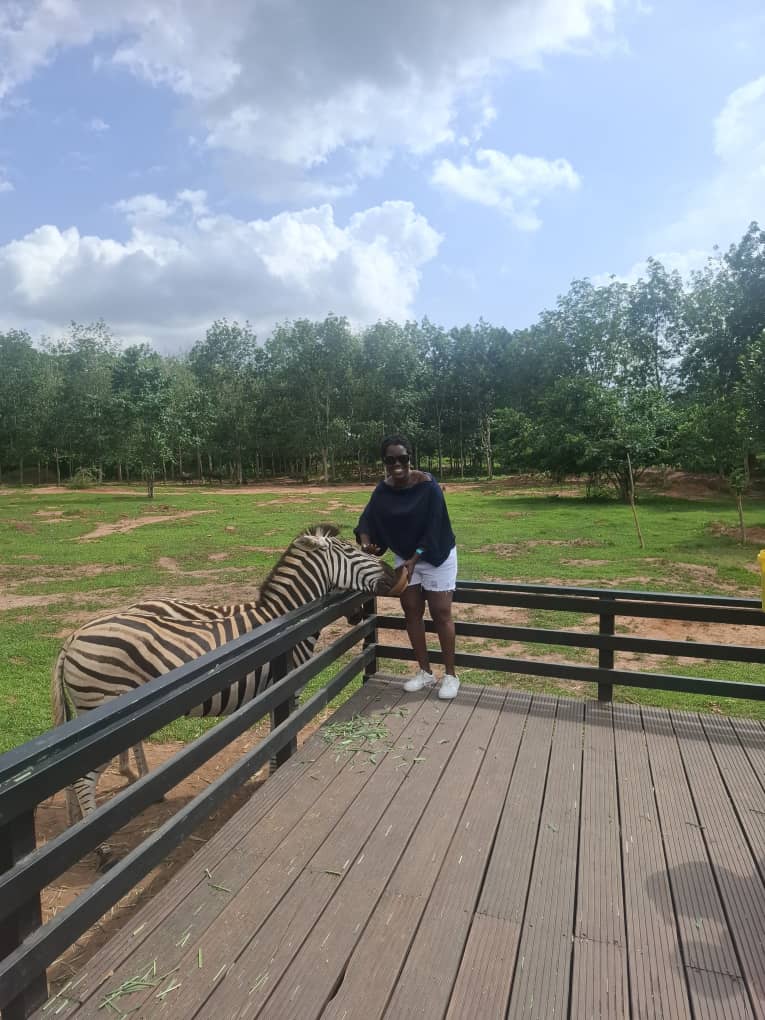 zebra