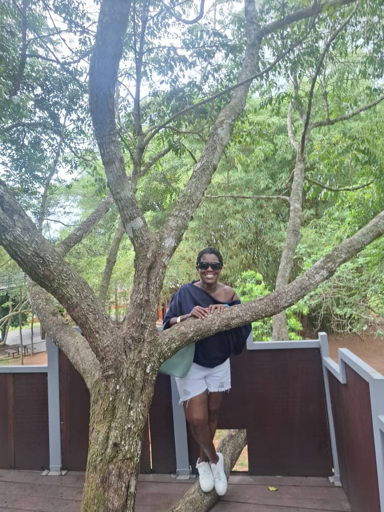 safari resort
