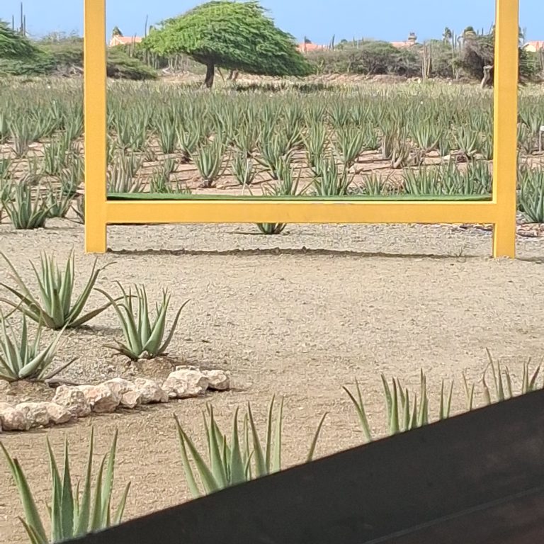 Aruba