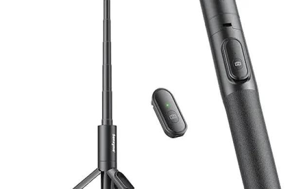 download – 2026-01-22T032731.729 download - 2026-01-22T032731.729